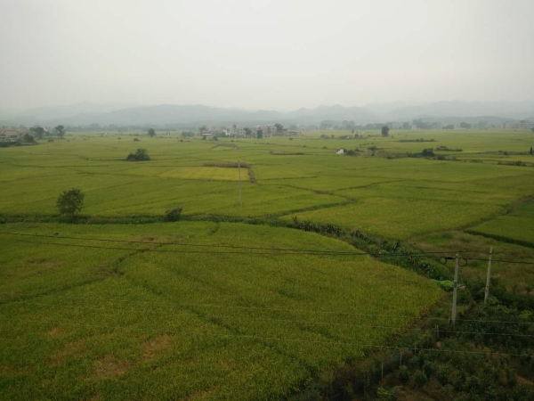 江西泰和“美（měi）麗鄉村”生活（huó）汙水處（chù）理項目
